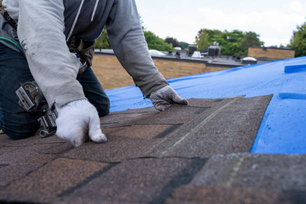 Best Green or Eco-Friendly Roofing Solutions  in Parchment, MI